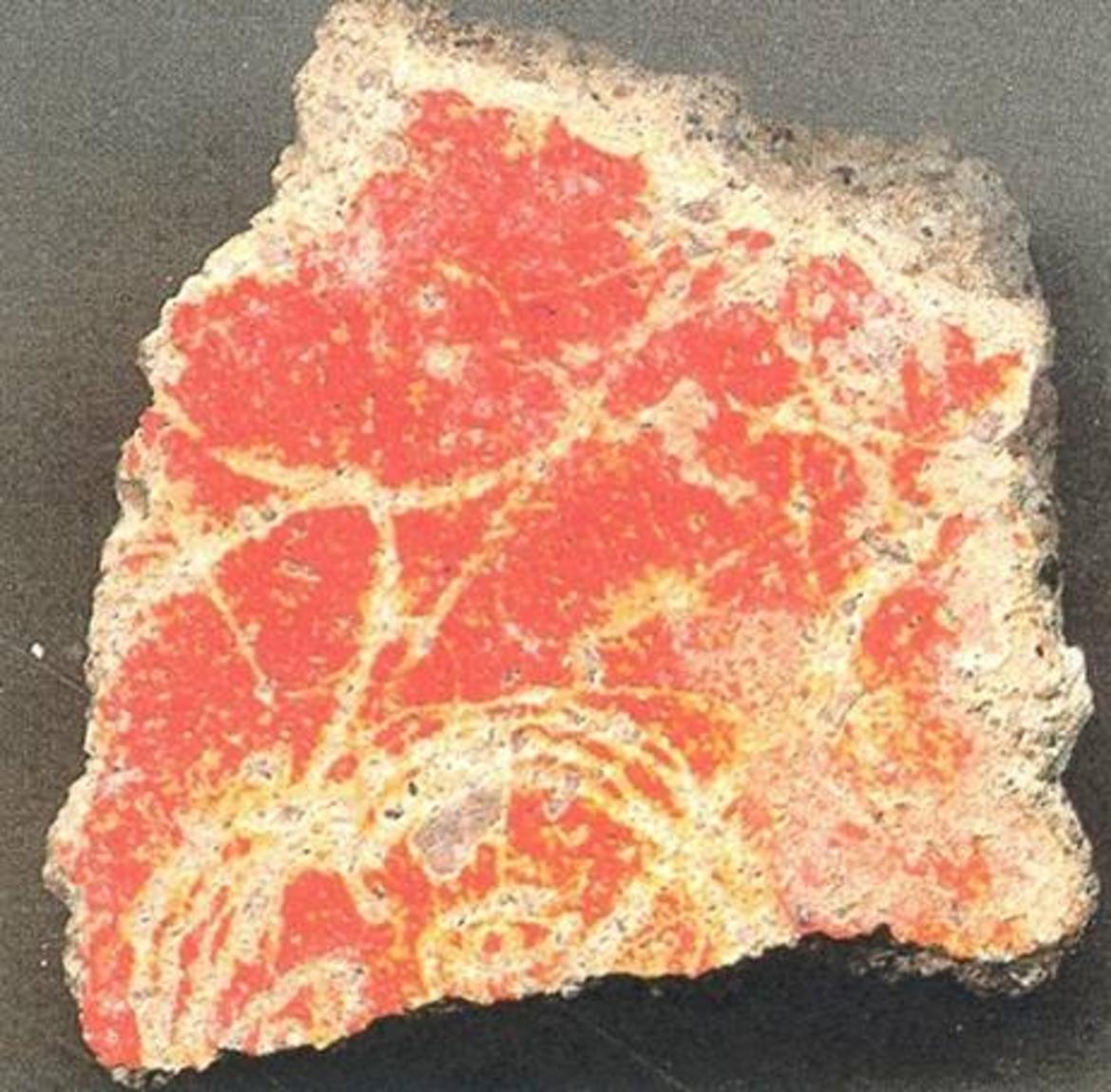 La domus di Casa Crivelli Trentino Cultura